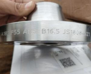 Duplex Flanges & Suplex Dupex WN Flanges